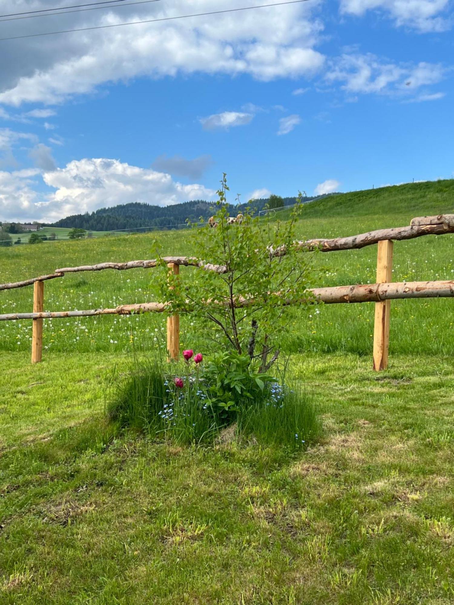 Ferienhaeuschen In Mariahof Apartment Exterior photo